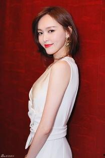 张婕爆料柳传志视频大全,张婕独家爆料，揭秘企业家传奇人生